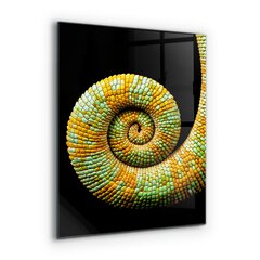 Apsauga nuo purslų stiklo plokštė Chameleono uodegos gamta, 60x80 cm, įvairių spalvų цена и информация | Комплектующие для кухонной мебели | pigu.lt