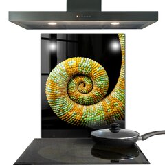 Apsauga nuo purslų stiklo plokštė Chameleono uodegos gamta, 60x80 cm, įvairių spalvų kaina ir informacija | Virtuvės baldų priedai | pigu.lt