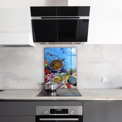 Apsauga nuo purslų stiklo plokštė Karibų barjerinis rifas, 60x80 cm, įvairių spalvų цена и информация | Комплектующие для кухонной мебели | pigu.lt