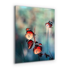 Apsauga nuo purslų stiklo plokštė Subtilus drugelis vėjyje, 60x80 cm, įvairių spalvų kaina ir informacija | Virtuvės baldų priedai | pigu.lt