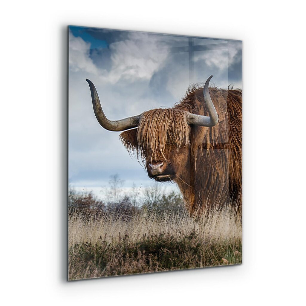 Apsauga nuo purslų stiklo plokštė Highland Boho karvė, 60x80 cm, įvairių spalvų цена и информация | Virtuvės baldų priedai | pigu.lt