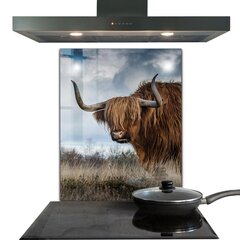 Apsauga nuo purslų stiklo plokštė Highland Boho karvė, 60x80 cm, įvairių spalvų цена и информация | Комплектующие для кухонной мебели | pigu.lt