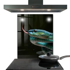 Apsauga nuo purslų stiklo plokštė Gyvatės laukinė gamta, 60x80 cm, įvairių spalvų цена и информация | Комплектующие для кухонной мебели | pigu.lt