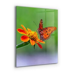 Apsauga nuo purslų stiklo plokštė Drugelis ant vasaros gėlių, 60x80 cm, įvairių spalvų kaina ir informacija | Virtuvės baldų priedai | pigu.lt