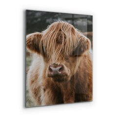 Apsauga nuo purslų stiklo plokštė Highland Cottage Style Cow, 60x80 cm, įvairių spalvų цена и информация | Комплектующие для кухонной мебели | pigu.lt