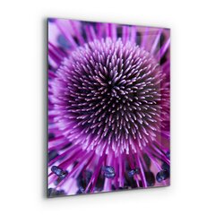 Apsauga nuo purslų stiklo plokštė Violetinė gėlė, 60x80 cm, įvairių spalvų kaina ir informacija | Virtuvės baldų priedai | pigu.lt