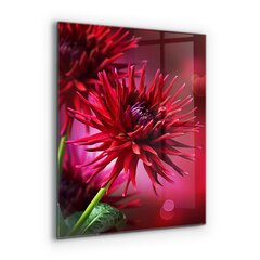 Apsauga nuo purslų stiklo plokštė Raudonoji Dahlia gėlė, 60x80 cm, įvairių spalvų kaina ir informacija | Virtuvės baldų priedai | pigu.lt