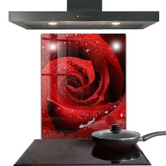 Apsauga nuo purslų stiklo plokštė Rasos lašai ant raudonos rožės, 60x80 cm, įvairių spalvų kaina ir informacija | Virtuvės baldų priedai | pigu.lt
