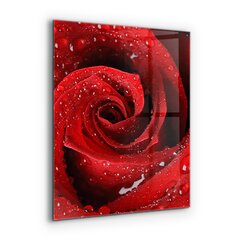 Apsauga nuo purslų stiklo plokštė Rasos lašai ant raudonos rožės, 60x80 cm, įvairių spalvų kaina ir informacija | Virtuvės baldų priedai | pigu.lt
