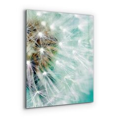 Apsauga nuo purslų stiklo plokštė Kiaulpienė vėjo augale, 60x80 cm, įvairių spalvų kaina ir informacija | Virtuvės baldų priedai | pigu.lt