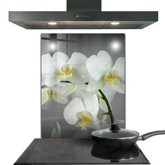 Apsauga nuo purslų stiklo plokštė Balta orchidėja juodame fone, 60x80 cm, įvairių spalvų kaina ir informacija | Virtuvės baldų priedai | pigu.lt