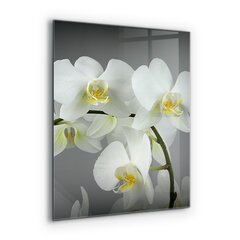 Apsauga nuo purslų stiklo plokštė Balta orchidėja juodame fone, 60x80 cm, įvairių spalvų цена и информация | Комплектующие для кухонной мебели | pigu.lt