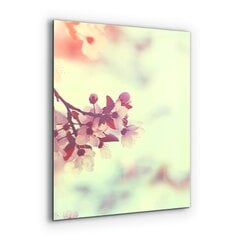 Apsauga nuo purslų stiklo plokštė Žydi rožinis medis, 60x80 cm, įvairių spalvų цена и информация | Комплектующие для кухонной мебели | pigu.lt