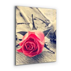 Apsauga nuo purslų stiklo plokštė Rožė Meilės simbolis, 60x80 cm, įvairių spalvų kaina ir informacija | Virtuvės baldų priedai | pigu.lt