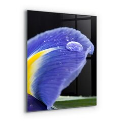 Apsauga nuo purslų stiklo plokštė Violetinė vilkdalgio gėlė, 60x80 cm, įvairių spalvų kaina ir informacija | Virtuvės baldų priedai | pigu.lt