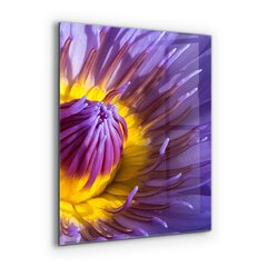 Apsauga nuo purslų stiklo plokštė Violetinės gėlių detalės, 60x80 cm, įvairių spalvų kaina ir informacija | Virtuvės baldų priedai | pigu.lt