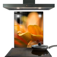 Apsauga nuo purslų stiklo plokštė Gerberio gėlė, 60x80 cm, įvairių spalvų kaina ir informacija | Virtuvės baldų priedai | pigu.lt