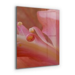 Apsauga nuo purslų stiklo plokštė Gėlių žiedadulkės Gamta, 60x80 cm, įvairių spalvų kaina ir informacija | Virtuvės baldų priedai | pigu.lt