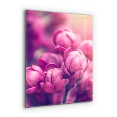 Apsauga nuo purslų stiklo plokštė Rožinės lelijos natūralus grožis, 60x80 cm, įvairių spalvų kaina ir informacija | Virtuvės baldų priedai | pigu.lt