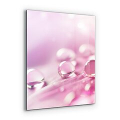 Apsauga nuo purslų stiklo plokštė Rasos lašai ant rožinės gėlės, 60x80 cm, įvairių spalvų kaina ir informacija | Virtuvės baldų priedai | pigu.lt