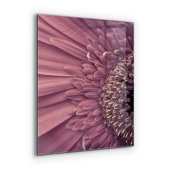 Apsauga nuo purslų stiklo plokštė Gėlė Margaretka Gerbera, 60x80 cm, įvairių spalvų kaina ir informacija | Virtuvės baldų priedai | pigu.lt