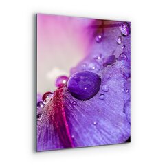 Apsauga nuo purslų stiklo plokštė Violetinė gėlė su ryto rasa, 60x80 cm, įvairių spalvų kaina ir informacija | Virtuvės baldų priedai | pigu.lt