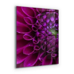 Apsauga nuo purslų stiklo plokštė Violetinės gėlių detalės, 60x80 cm, įvairių spalvų kaina ir informacija | Virtuvės baldų priedai | pigu.lt