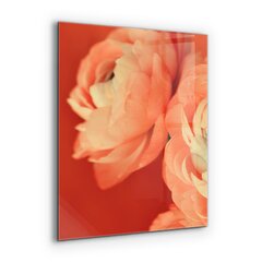 Apsauga nuo purslų stiklo plokštė Oranžinė vėdryno gėlė, 60x80 cm, įvairių spalvų kaina ir informacija | Virtuvės baldų priedai | pigu.lt