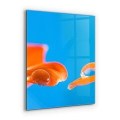Apsauga nuo purslų stiklo plokštė Apelsinų gėlė, 60x80 cm, įvairių spalvų kaina ir informacija | Virtuvės baldų priedai | pigu.lt