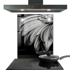 Apsauga nuo purslų stiklo plokštė Gerber juodai balta nuotrauka, 60x80 cm, įvairių spalvų kaina ir informacija | Virtuvės baldų priedai | pigu.lt