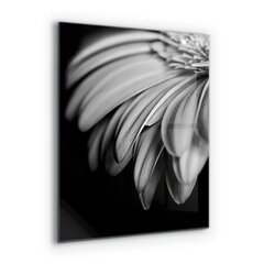 Apsauga nuo purslų stiklo plokštė Gerber juodai balta nuotrauka, 60x80 cm, įvairių spalvų kaina ir informacija | Virtuvės baldų priedai | pigu.lt