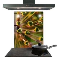 Apsauga nuo purslų stiklo plokštė Gėlių makro fotografija, 60x80 cm, įvairių spalvų цена и информация | Комплектующие для кухонной мебели | pigu.lt