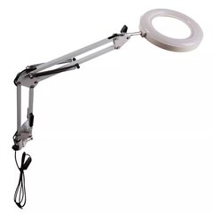 Белая светодиодная лампа с увеличительным стеклом цена и информация | Настольные светильники | pigu.lt