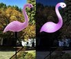 LED sodo žibintas flamingas, 52cm, 3 vnt. цена и информация | Lauko šviestuvai | pigu.lt