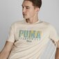 Marškinėliai vyrams Puma, smėlio spalvos kaina ir informacija | Vyriški marškinėliai | pigu.lt