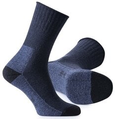 Kojinės vyrams Ardon, mėlynos цена и информация | Мужские носки | pigu.lt