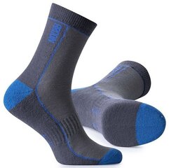 Kojinės vyrams Ardon, mėlynos цена и информация | Мужские носки | pigu.lt