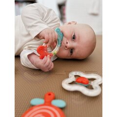 Kramtukų ir barškučių rinkinys, Woopie Baby, 4 vnt. kaina ir informacija | Žaislai kūdikiams | pigu.lt