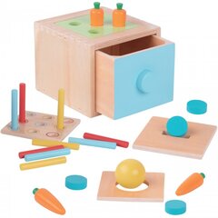Žaislas dėžė su ištraukiamu stalčiumi Woopie kaina ir informacija | Lavinamieji žaislai | pigu.lt