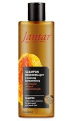 Šampūnas Farmona Jantar, 300 ml kaina ir informacija | Šampūnai | pigu.lt