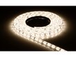 LED juosta 12V 3528 300LED 5m IP20 Šiltai balta 3000K Eco kaina ir informacija | LED juostos | pigu.lt