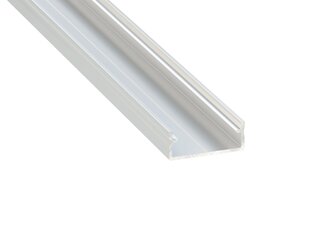 DUAL aliuminio profilis LED juostelėms - neapdorotas sidabrinis - 1 m Srebrny kaina ir informacija | LED juostos | pigu.lt