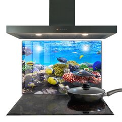 Apsauga nuo purslų stiklo plokštė Koralų rifas Raudonoji jūra, 80x60 cm, įvairių spalvų цена и информация | Комплектующие для кухонной мебели | pigu.lt
