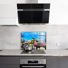 Apsauga nuo purslų stiklo plokštė Koralų rifas Raudonoji jūra, 80x60 cm, įvairių spalvų цена и информация | Комплектующие для кухонной мебели | pigu.lt