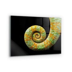 Apsauga nuo purslų stiklo plokštė Chameleono uodegos gamta, 80x60 cm, įvairių spalvų kaina ir informacija | Virtuvės baldų priedai | pigu.lt