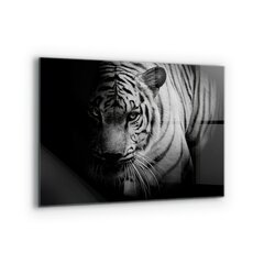 Apsauga nuo purslų stiklo plokštė Baltasis Sibiro tigras, 80x60 cm, įvairių spalvų цена и информация | Комплектующие для кухонной мебели | pigu.lt