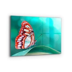 Apsauga nuo purslų stiklo plokštė Gražus drugelis gamtoje, 80x60 cm, įvairių spalvų kaina ir informacija | Virtuvės baldų priedai | pigu.lt