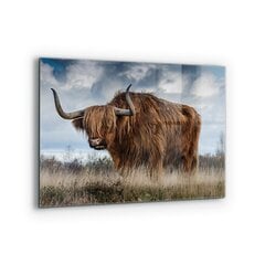 Apsauga nuo purslų stiklo plokštė Highland Boho karvė, 80x60 cm, įvairių spalvų kaina ir informacija | Virtuvės baldų priedai | pigu.lt