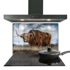 Apsauga nuo purslų stiklo plokštė Highland Boho karvė, 80x60 cm, įvairių spalvų kaina ir informacija | Virtuvės baldų priedai | pigu.lt