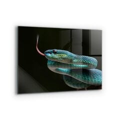 Apsauga nuo purslų stiklo plokštė Gyvatės laukinė gamta, 80x60 cm, įvairių spalvų kaina ir informacija | Virtuvės baldų priedai | pigu.lt